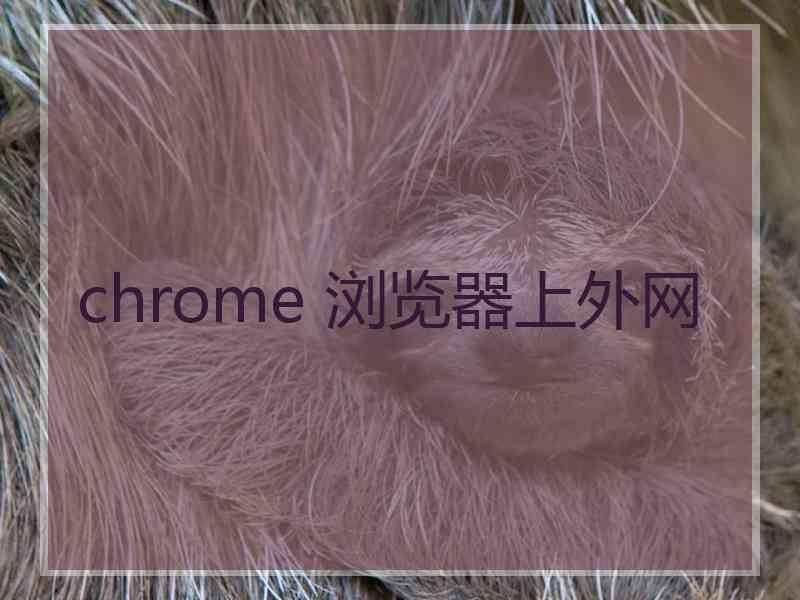 chrome 浏览器上外网