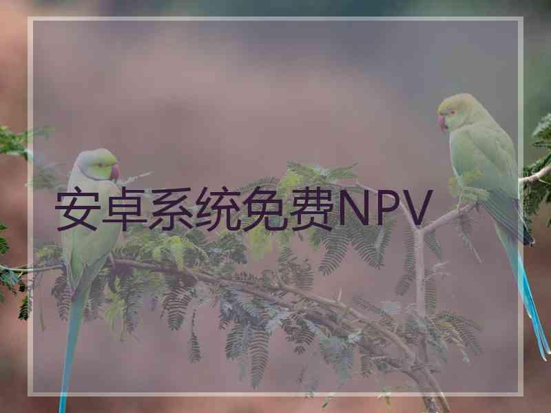 安卓系统免费NPV