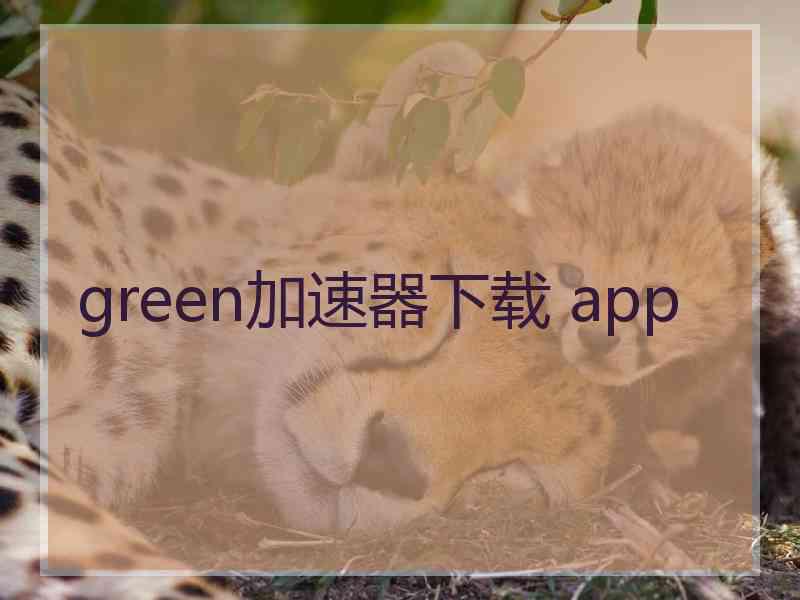 green加速器下载 app