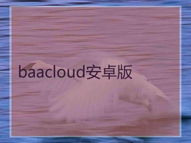 baacloud安卓版