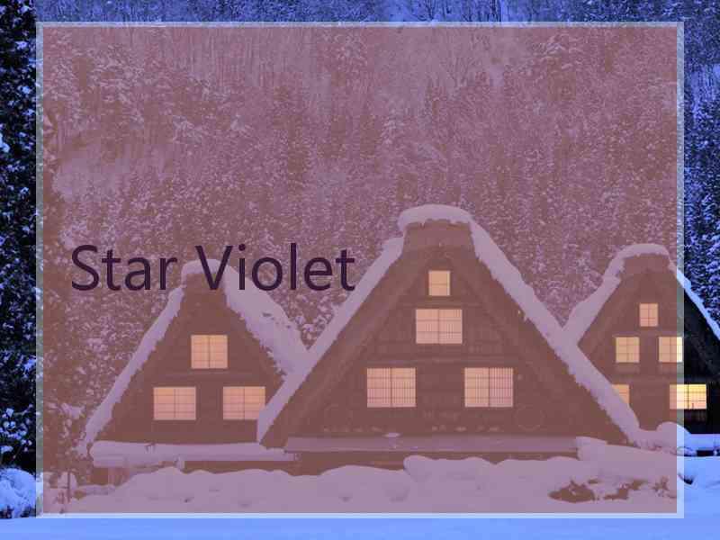 Star Violet
