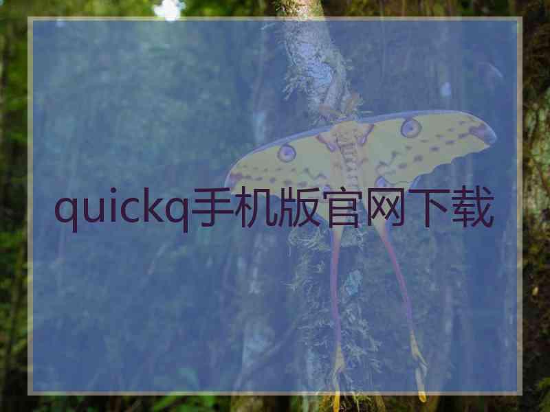 quickq手机版官网下载