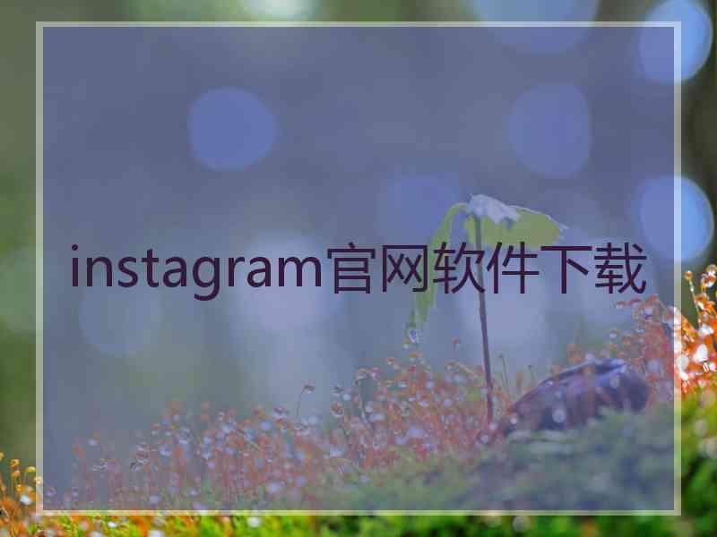 instagram官网软件下载