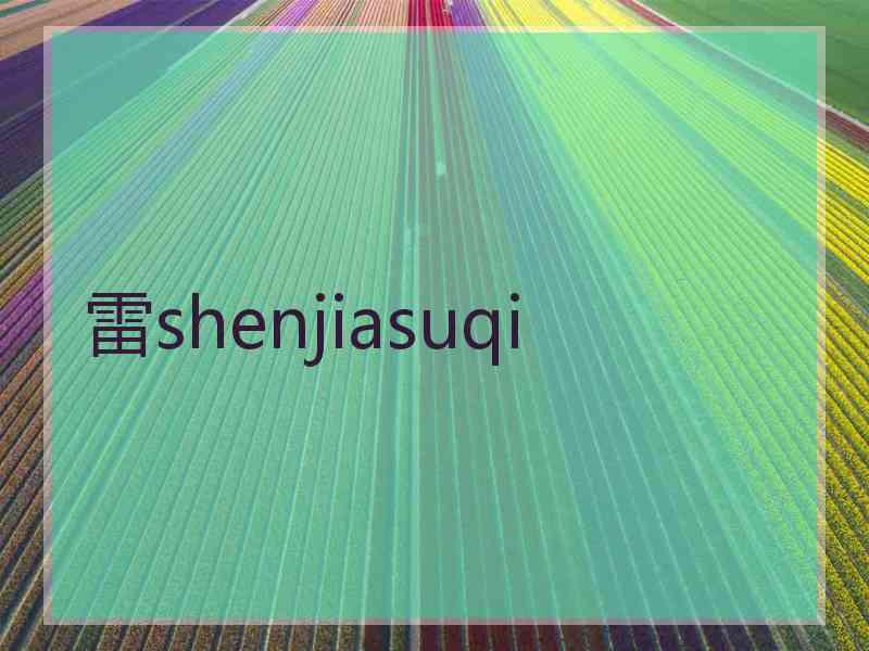 雷shenjiasuqi