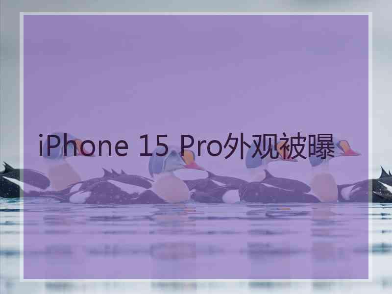 iPhone 15 Pro外观被曝