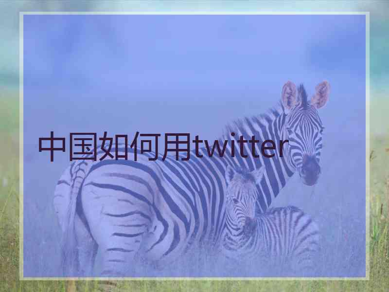 中国如何用twitter
