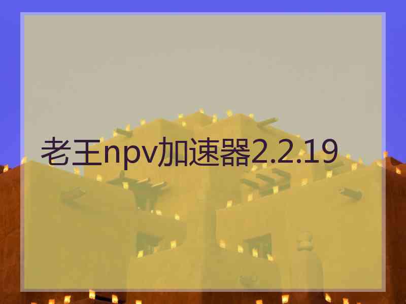 老王npv加速器2.2.19