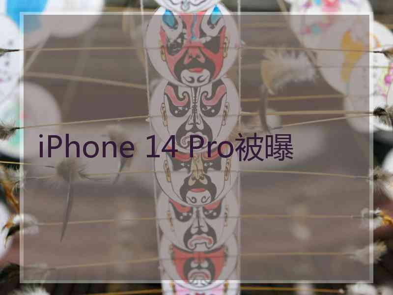 iPhone 14 Pro被曝